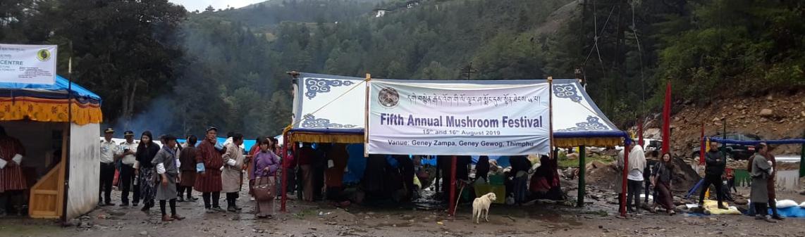Mushroom Festival 2019