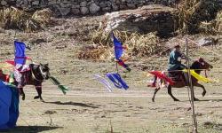 Horse Racing