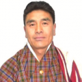 lingzhi gup