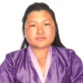 hongtsho tshogpa