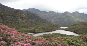 5ac6069492f80_850_400 5ac6069492f80_850_400